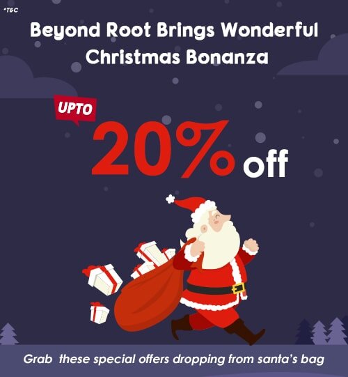 christmas offers on web and mobile app development services